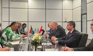وزير الخارجية يلتقي مع نظيرته الجنوب إفريقية على هامش اجتماعات البريكس