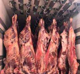أسعار اللحوم الحمراء في مصر اليوم الخميس