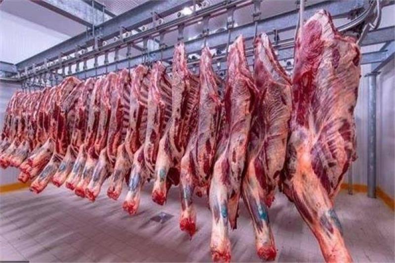 أسعار اللحوم الحمراء في مصر اليوم السبت